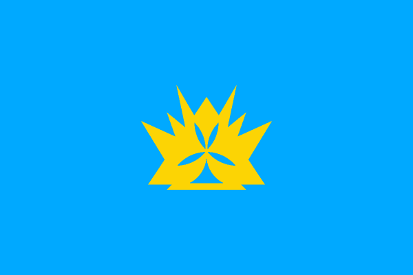 Corona Flag