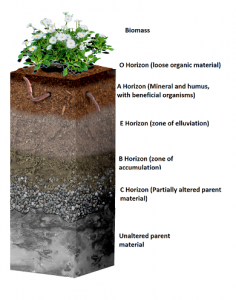 Artificial Soil - naturally derived