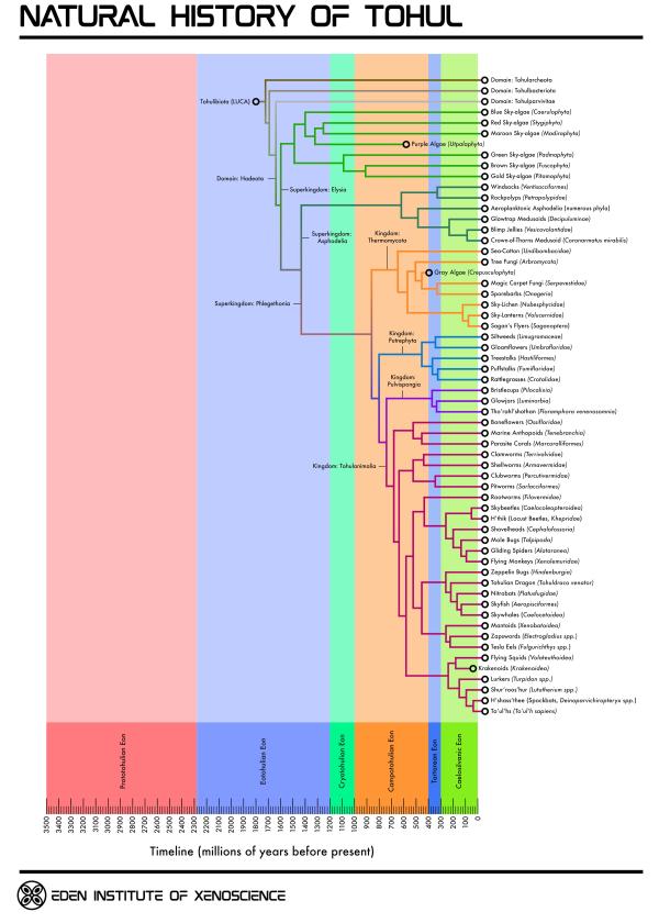 TohulPhylogeny_final