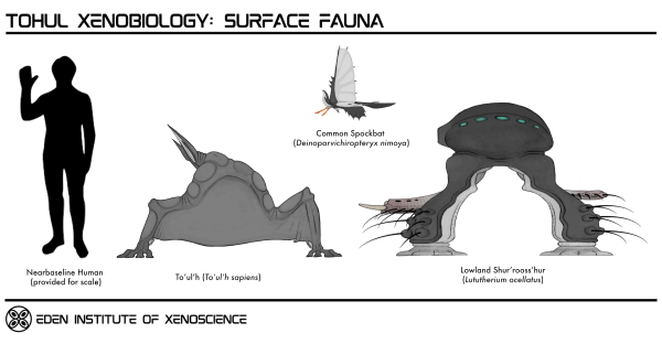 Tohul Surface Fauna