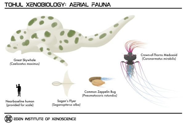 Tohul Arerial Fauna