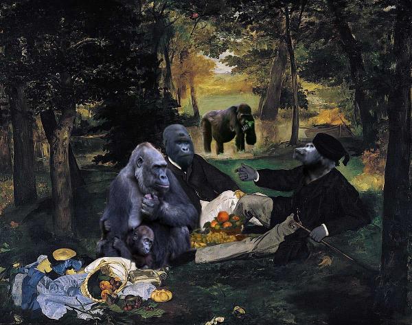 Gorilla Picnic