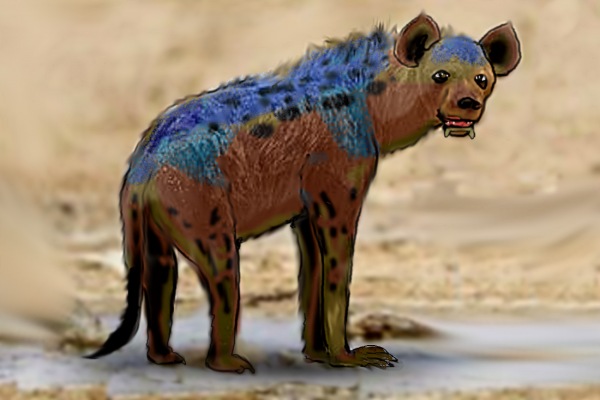 Sapient Hyena