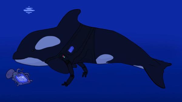 Orca