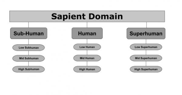 Sapient domains