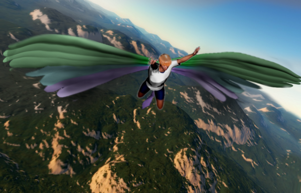 Wingsuit